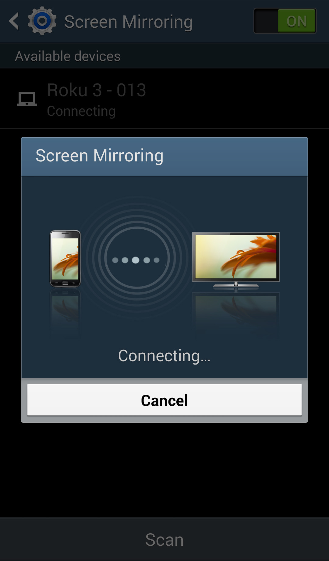 Roku Mirroring